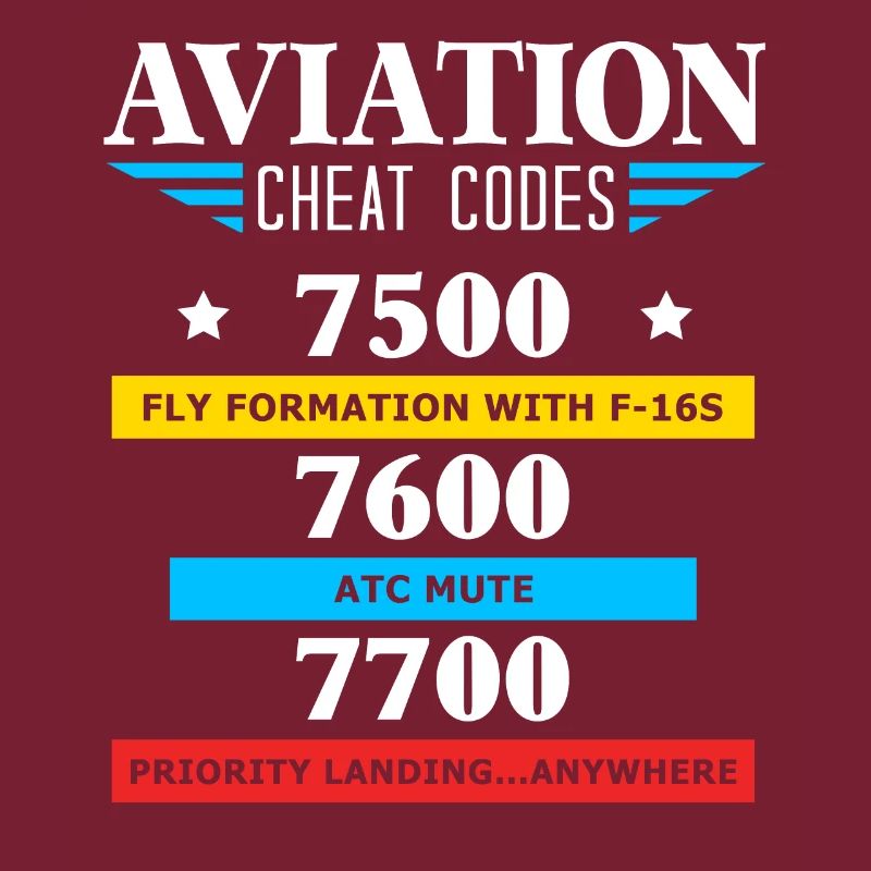 Aviation Cheat Codes Geschenk, Aviation Geschenk,