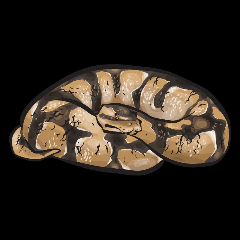 Ball Python Schlange Königspython