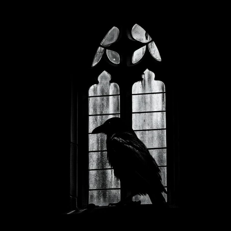 Raven window