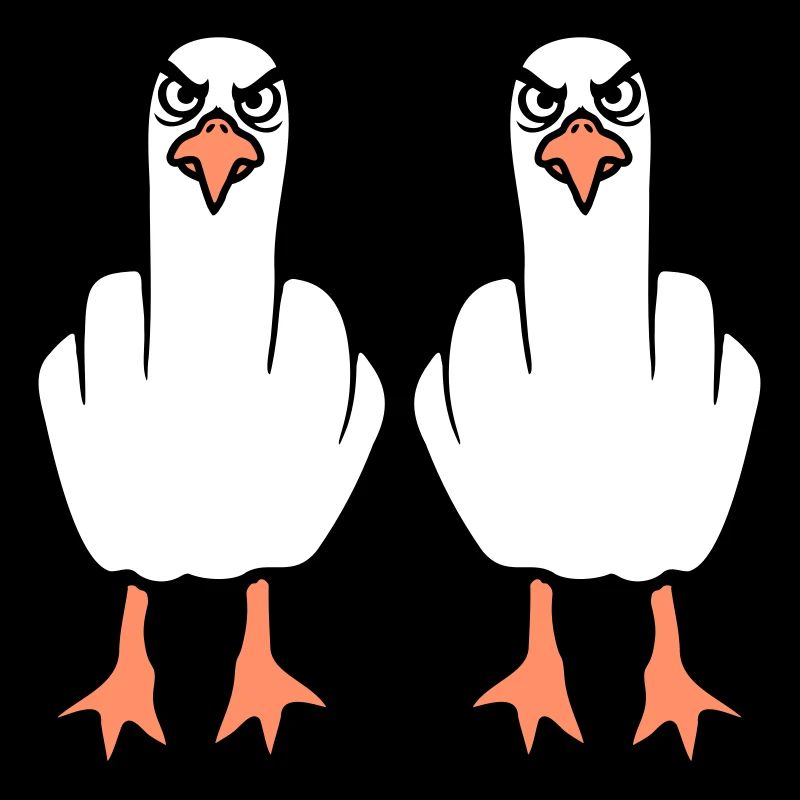 2 Möwen Mittelfinger Beleidigung Stinkefinger Team