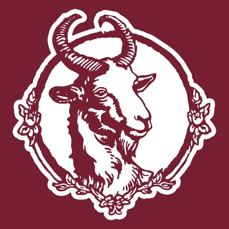 Steinbock Ziege