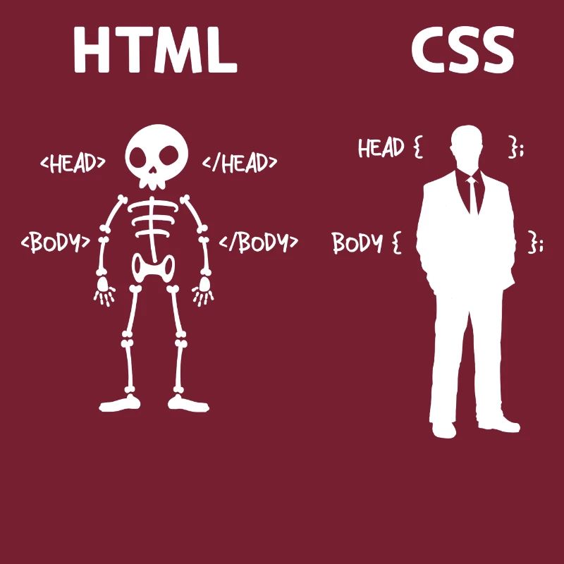 Code Css C++ Php Java Développeur Code Scripting