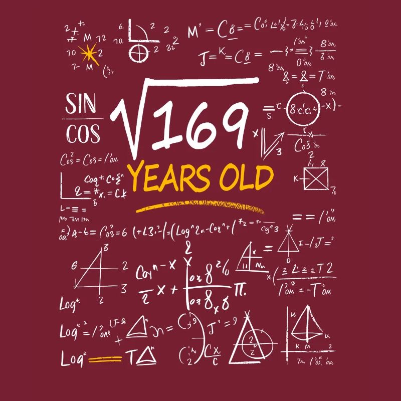 13 Years Birthday Math Formulas Funny