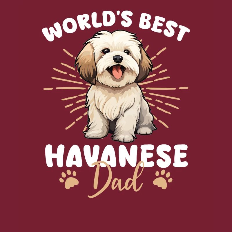 Chien Bichon Havanais Papa
