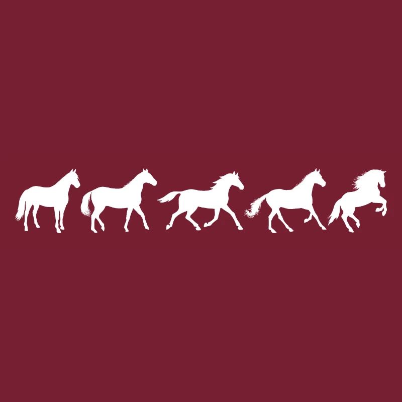 ! Evolution Pferd in Bewegung