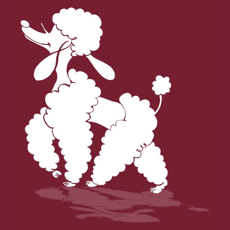 Caniche