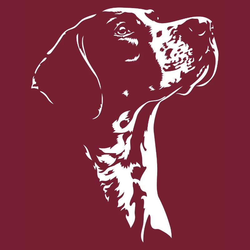 Chiens de chasse à silhouette pointer anglais Wilsigns