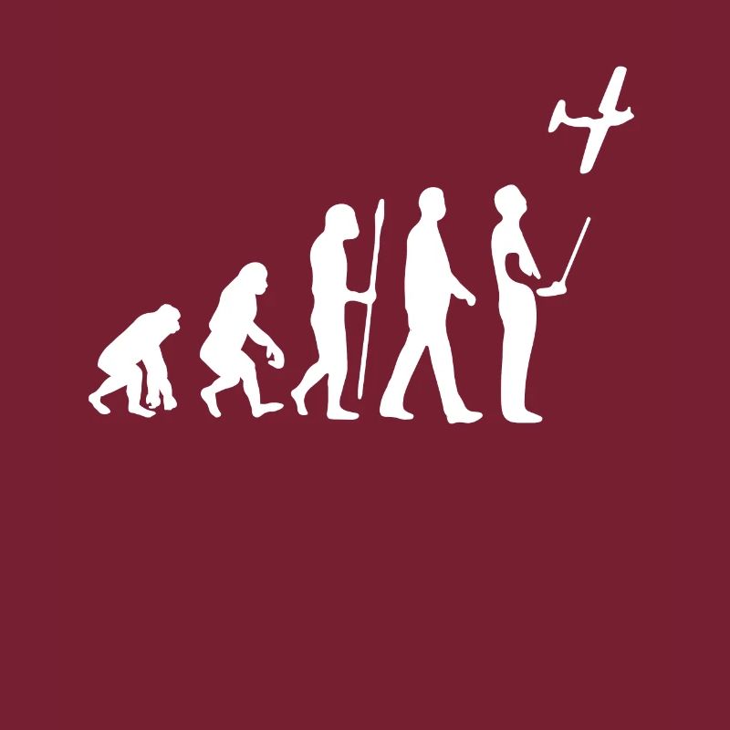 Model Flight Evolution