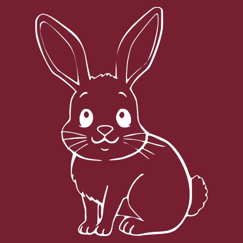 Rabbit Bunny Bunny Dwarf Rabbit Gift