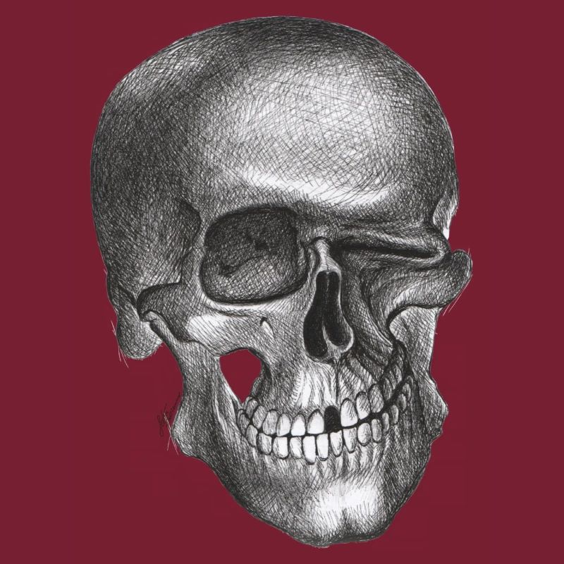 Winking Skull - Skull