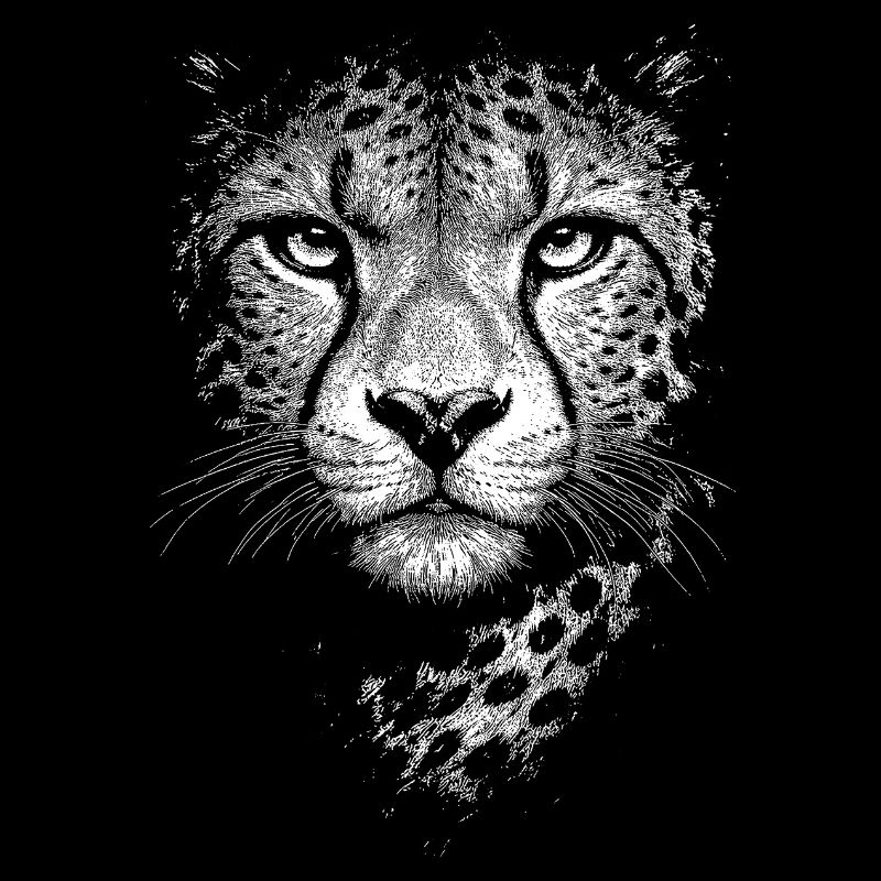 Guépard