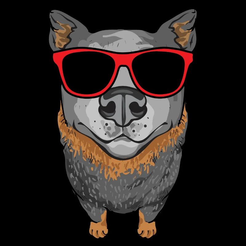 Bouvier australien Red Blue Heeler