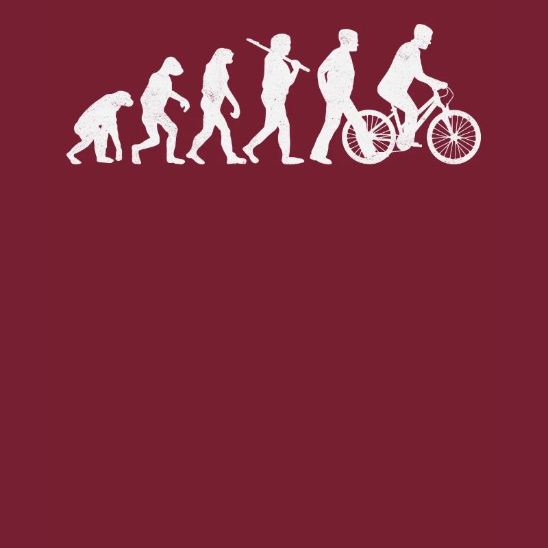 Roue cycliste Darwin Evolution