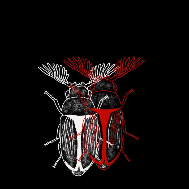 Insecte 2.0