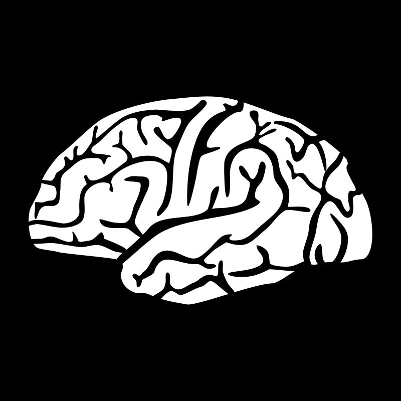Brain