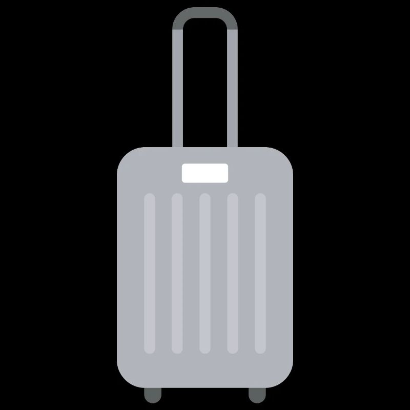 Valise Bagages