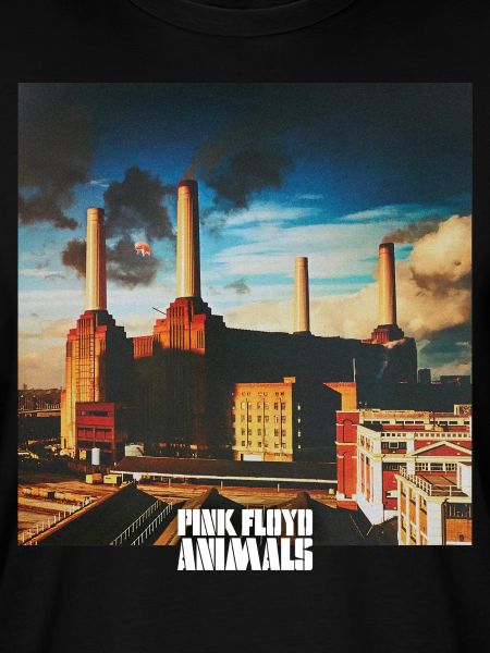 Pink Floyd Animals Album Cover