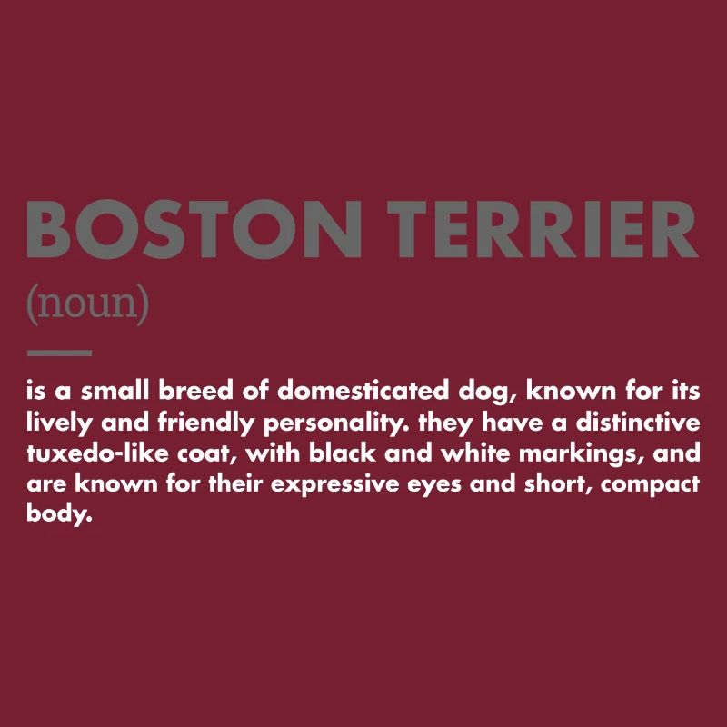 Boston Terrier Definition