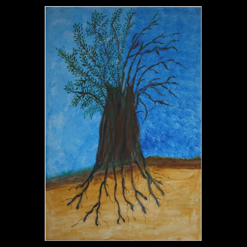 L'arbre dans la Classification de Raunkier