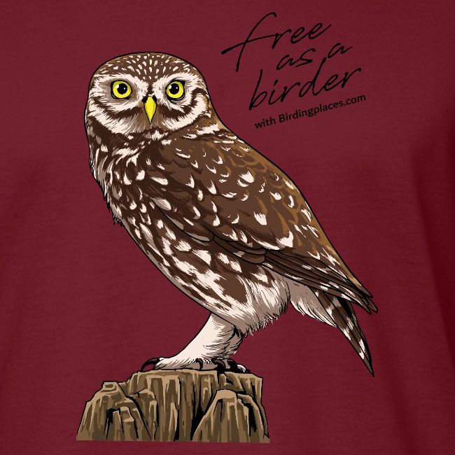 Birdingplaces Little Owl Free like a birder II