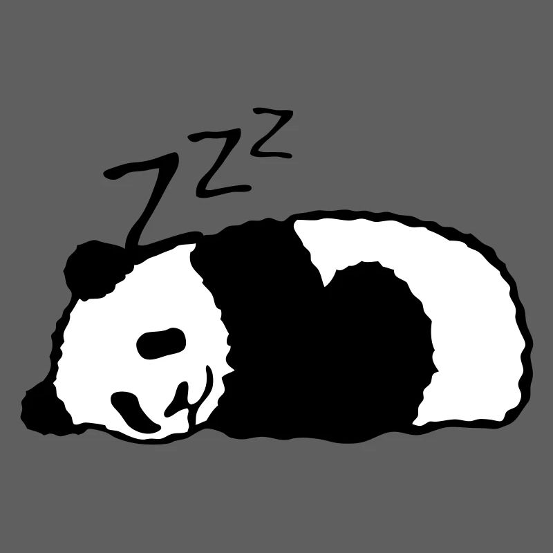 panda dort sieste dormir