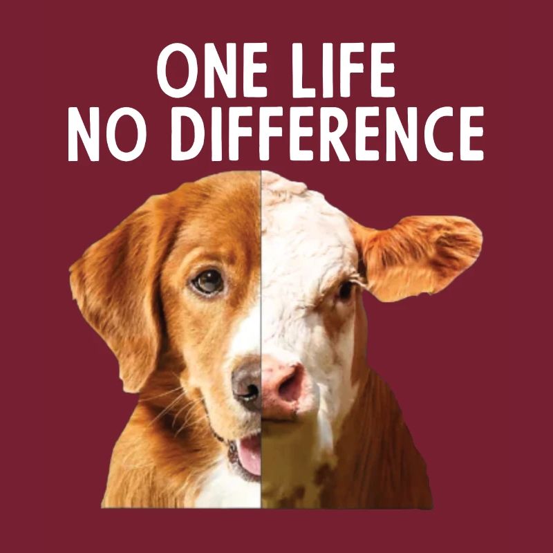 Vegan - One life no difference