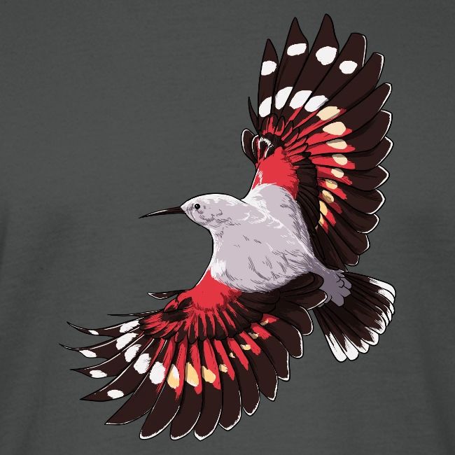 Birdingplaces Wallcreeper