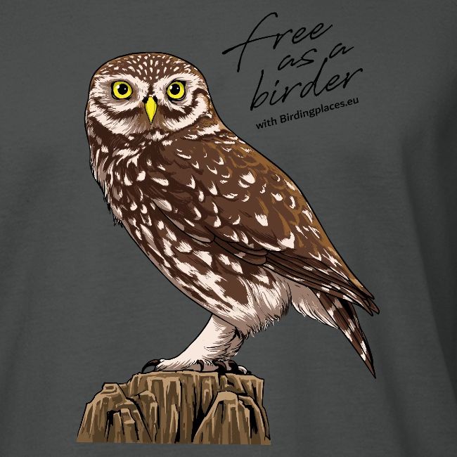 Birdingplaces Little Owl Free like a birder I