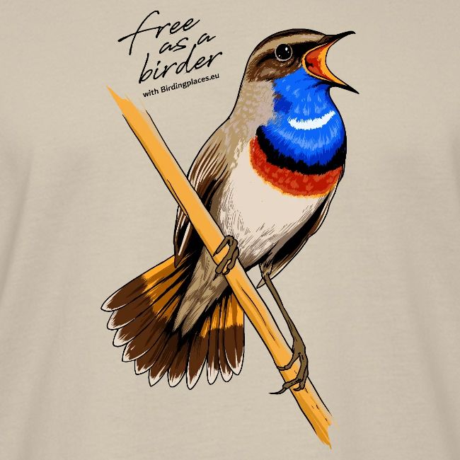 Birdingplaces Bluethroat Free like a birder I