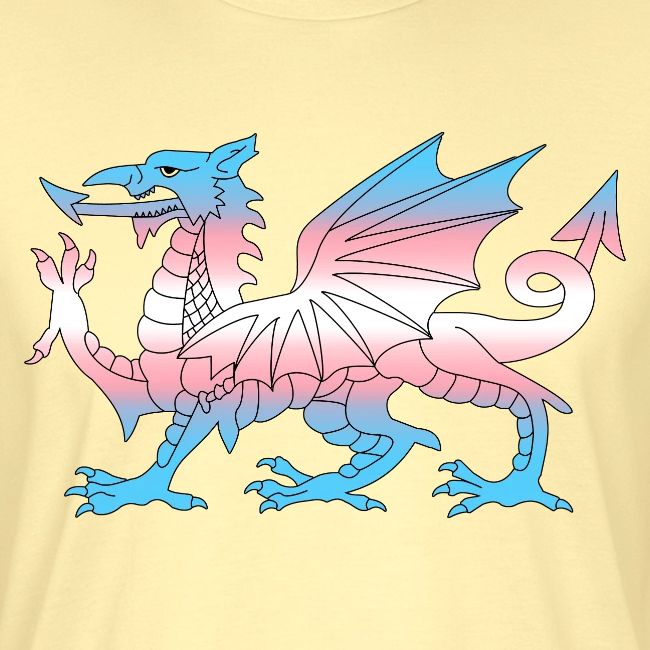 Wales Trans Flag, Baner Trans Cymru, Transgender