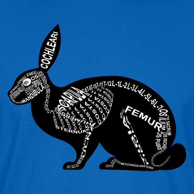 squelette de lapin