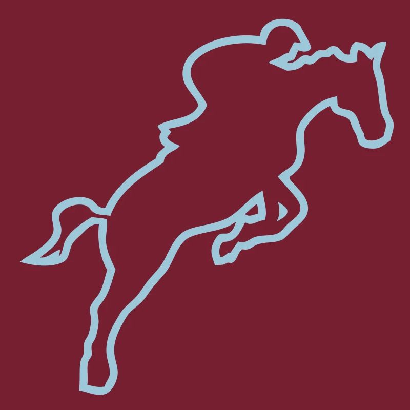 equitation cavalier13 obstacle cheval tr