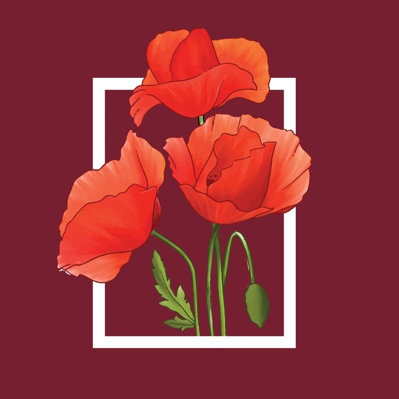 Klatschmohn Mohnblumen Aquarell handgemalt