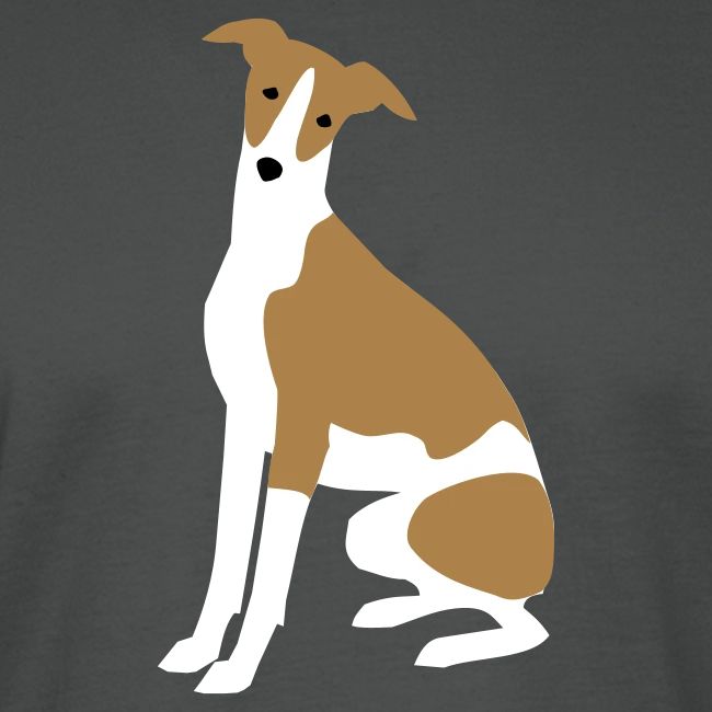 Whippet