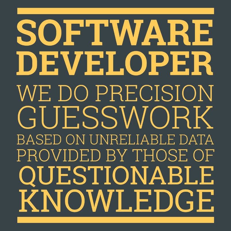 "Software Developer" | Programmierer