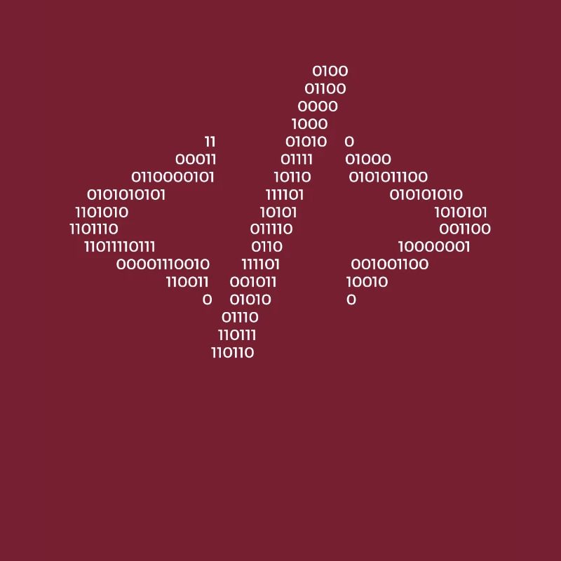 Hacker Hacking Code Computer Java Spruch Geschenk