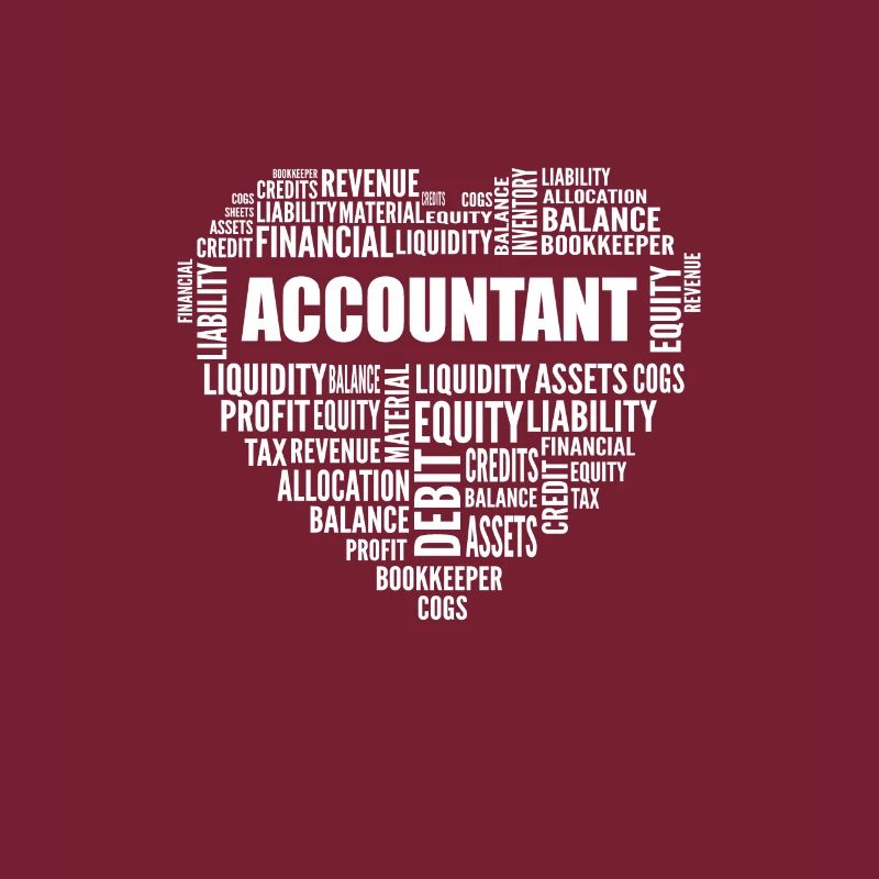 Comptabilité. Pour les CPA et les comptables