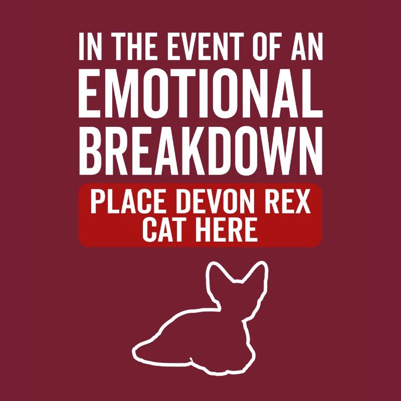 Émotionnel - Devon Rex Cat