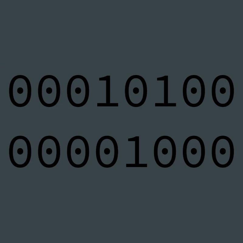 2008 Binary