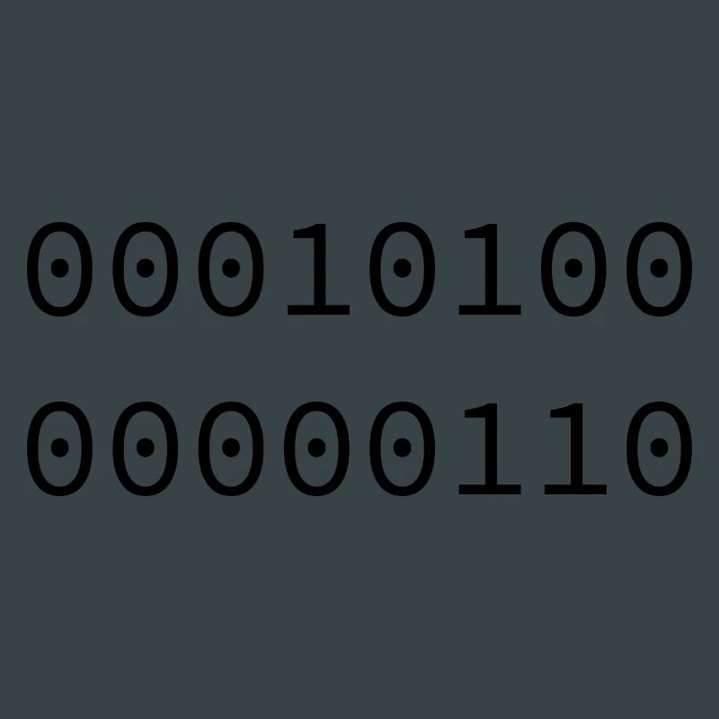 2006 Binary