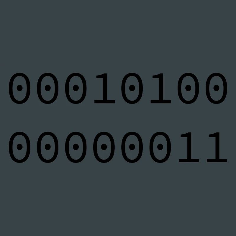2003 Binary
