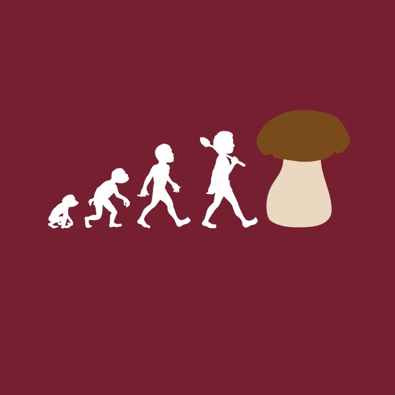 Conception de l'évolution d'un cèpe