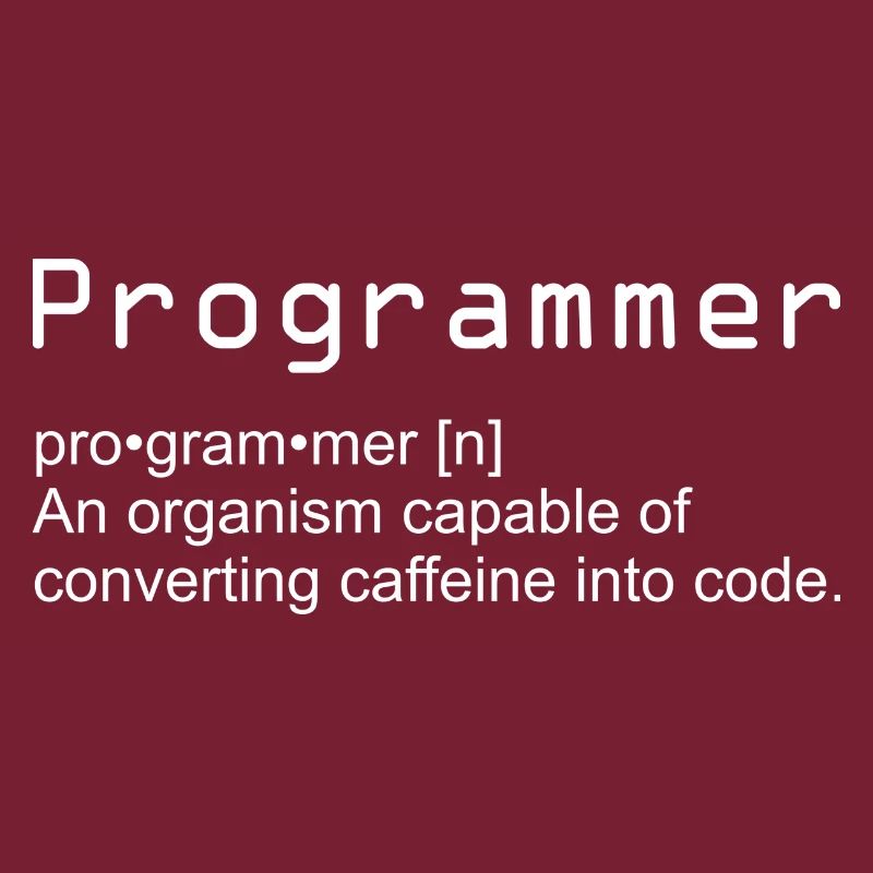 Programmers program nerd geek gift