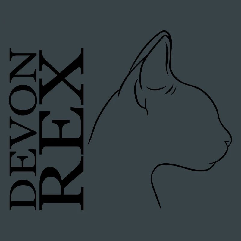 Devon Rex Profil Chats Chat Wilsigns