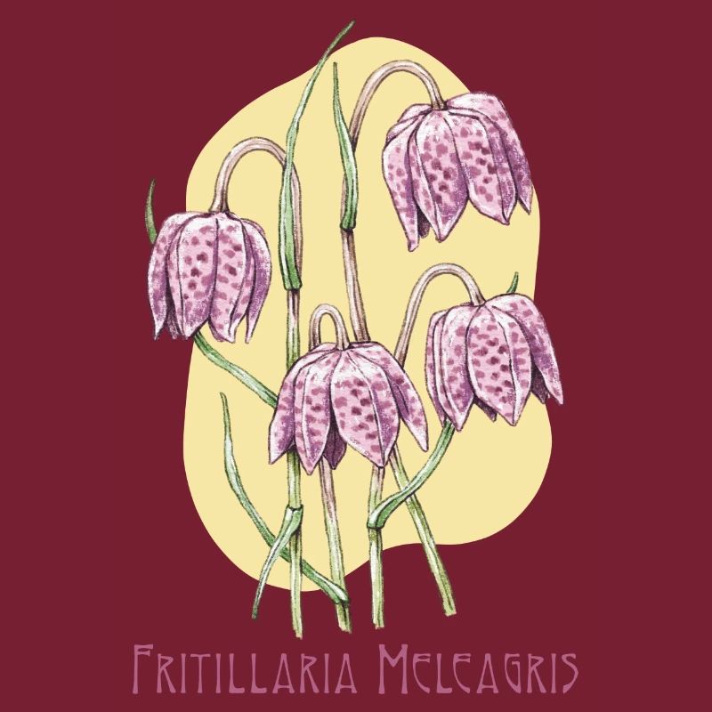 Cube checkerboard botanical drawing