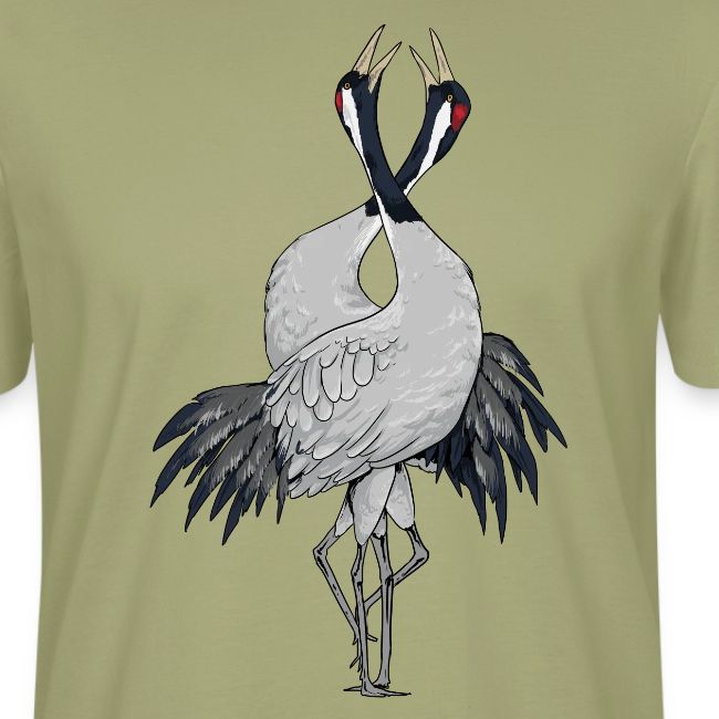 Birdingplaces Grues cendrées