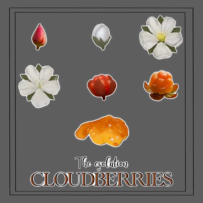 Die Evolution der Moltebeeren, mit Rahmen