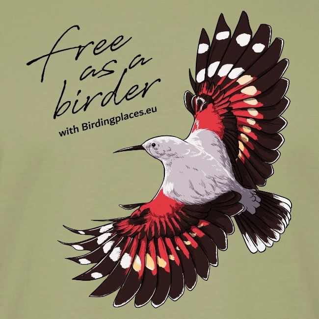 Birdingplaces Wallcreeper Free as a birder