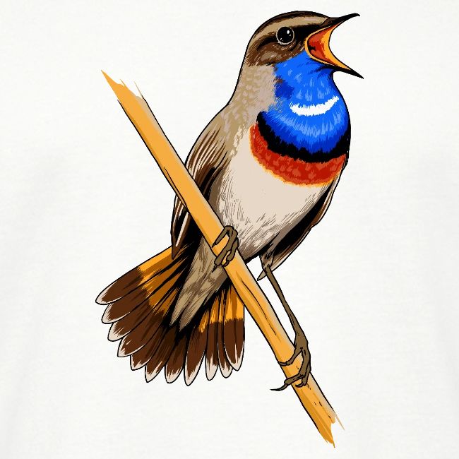 Birdingplaces Bluethroat