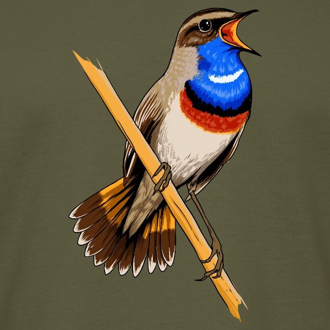 Birdingplaces Bluethroat
